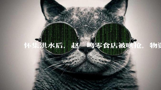 怀集洪水后，赵一鸣零食店被哄抢，物资和收银机里面的几千块钱被哄抢一空，如何评价？