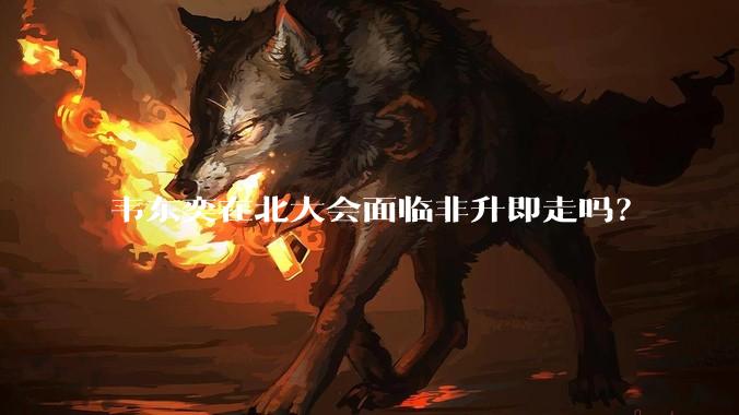 韦东奕在北大会面临非升即走吗？