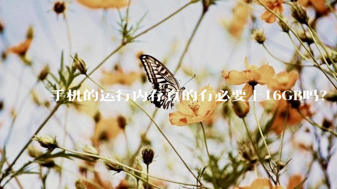 手机的运行内存真的有必要上16GB吗？