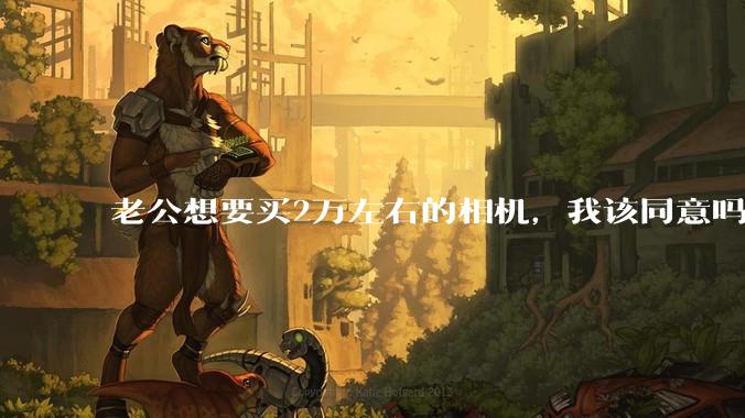 老公想要买2万左右的相机，我该同意吗？